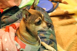 IMG 8316~2